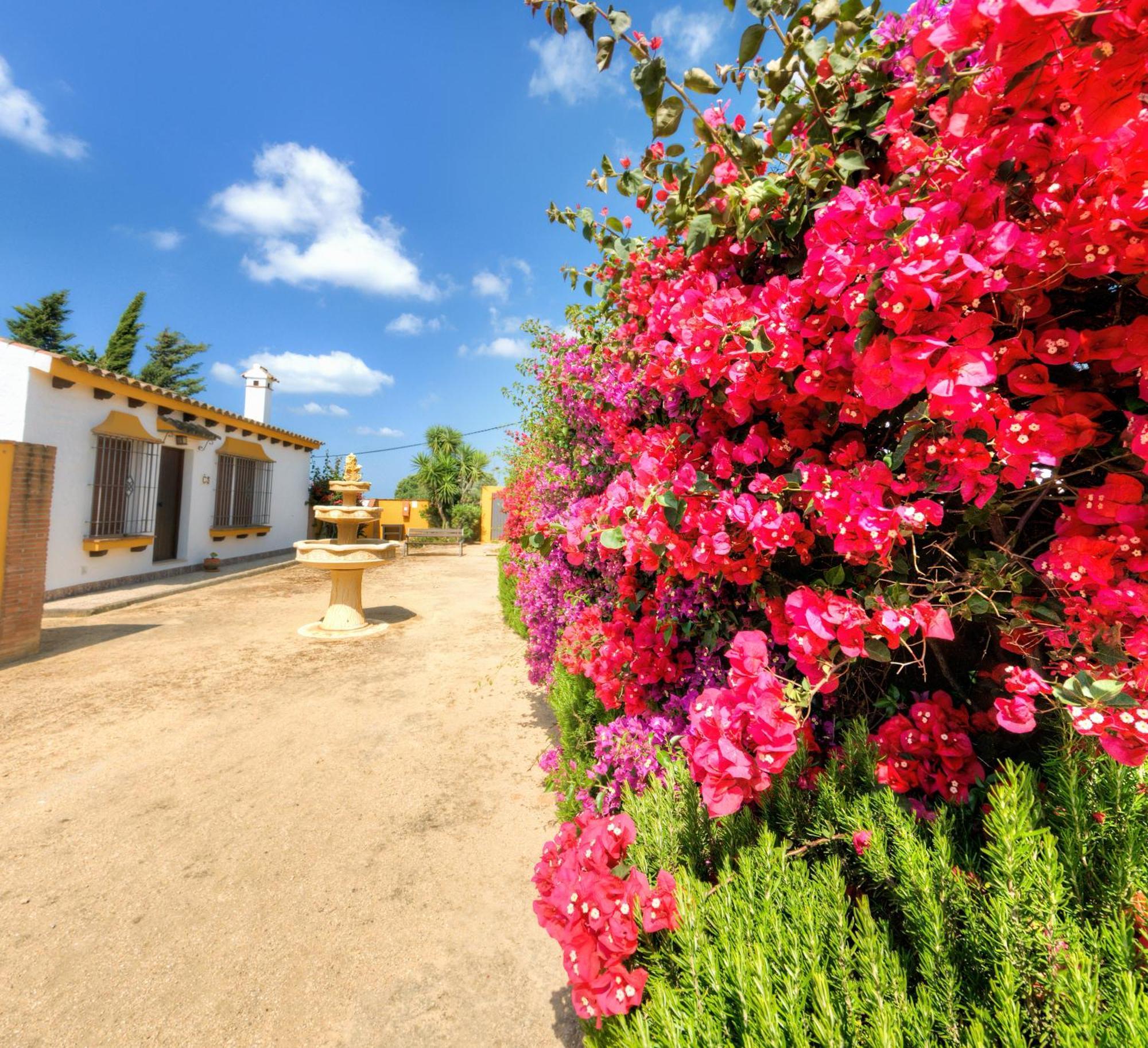 Hacienda Los Majadales Conil De La Frontera Exterior photo